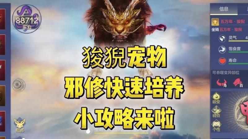 妄想山海怎么获得强力宠物