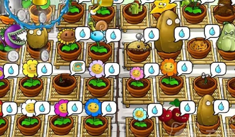 植物大战僵尸花园都有哪些植物