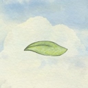 风子游戏​​​​​​​