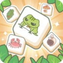 匹配大师游戏​​​​​​​