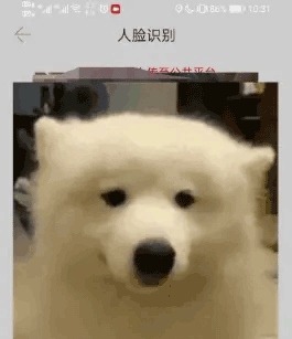车学堂操作3